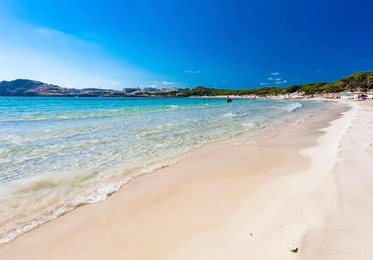 Apartment Magaluf contacts
